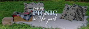 A cozy picnic setup on grass with a white blanket, patterned pillows, a basket containing wine and a blanket, and two wooden boxes. Text overlay says "Pop-up Picnic in the Park.