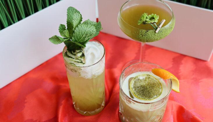 Three cocktails garnished with mint, foam, and citrus sit on a red tablecloth with a green grass backdrop.